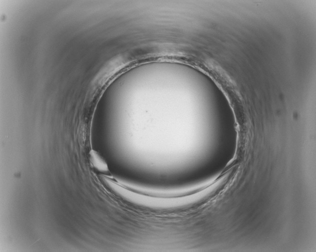 X0000087541169200705112049