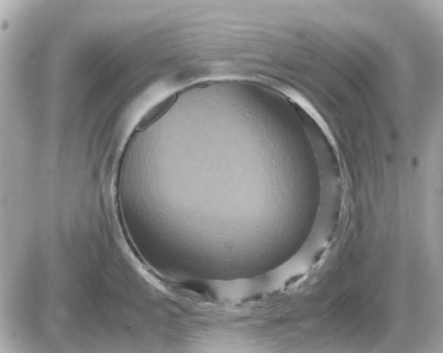 X0000087541197200705112048