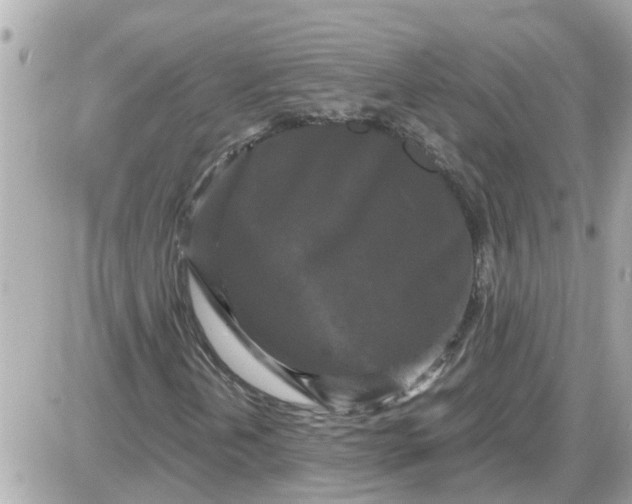 X0000087541202200705112048