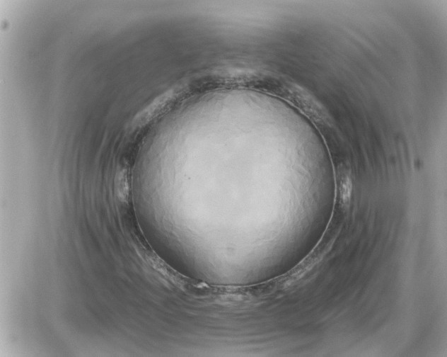 X0000087541204200705112048