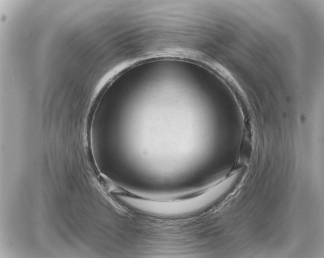X0000087541230200705112048