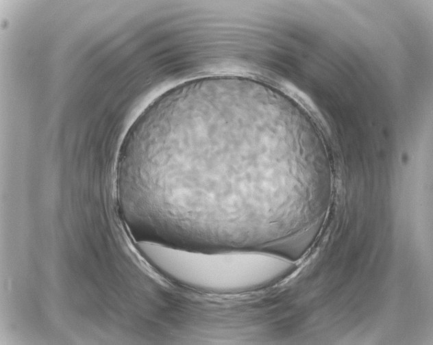 X0000087541236200705112048