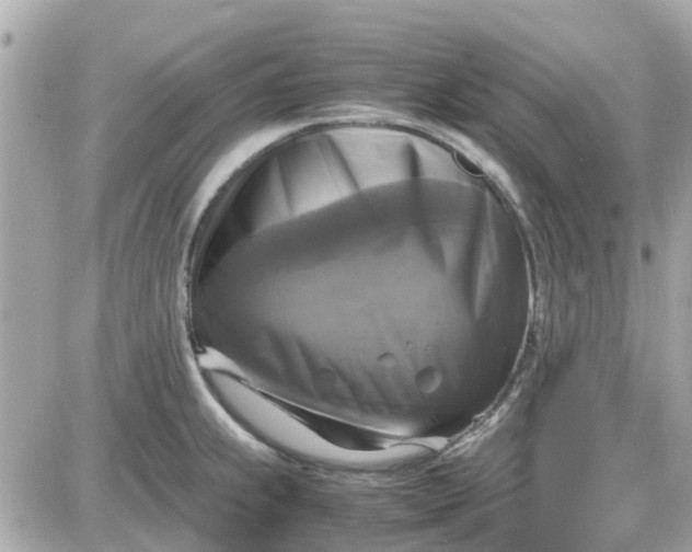 X0000087541239200705112048