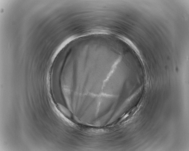 X0000087541243200705112048