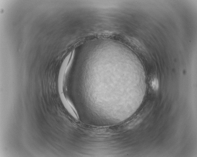 X0000087541252200705112048