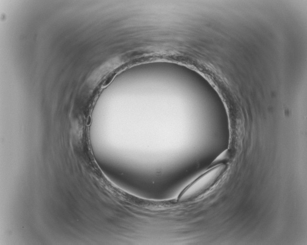 X0000087541257200705112047