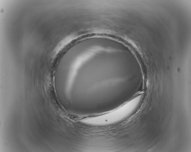 X0000087541263200705112047