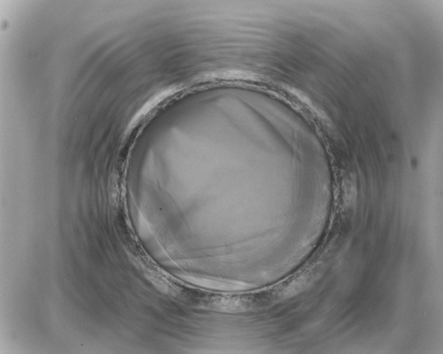 X0000087541266200705112047