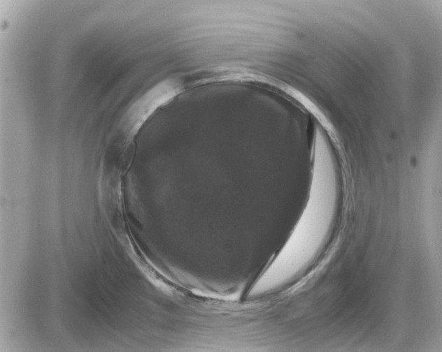 X0000087541289200705112047