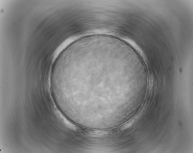 X0000087541294200705112047