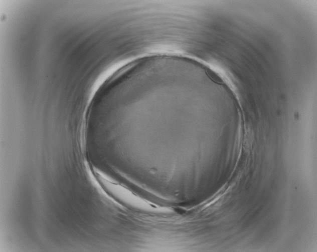 X0000087541295200705112047