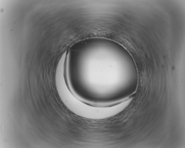 X0000087541298200705112046