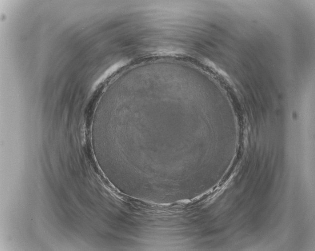 X0000087541306200705112046
