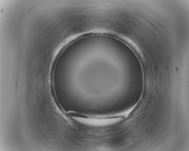 X0000087541327200705112047
