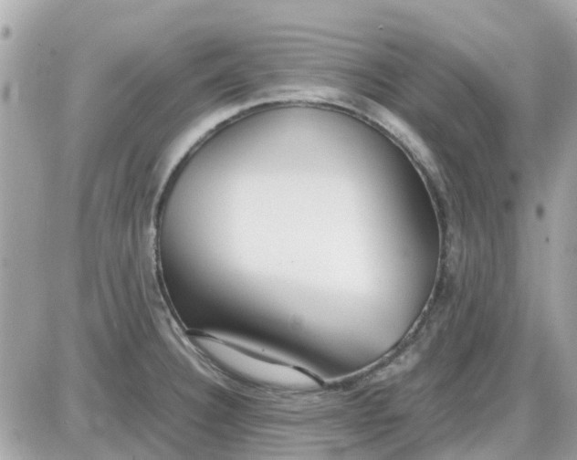 X0000087541332200705112047