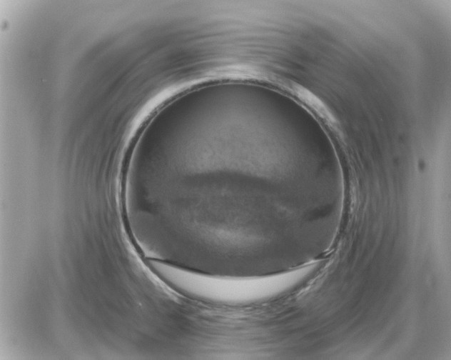 X0000087541334200705112047