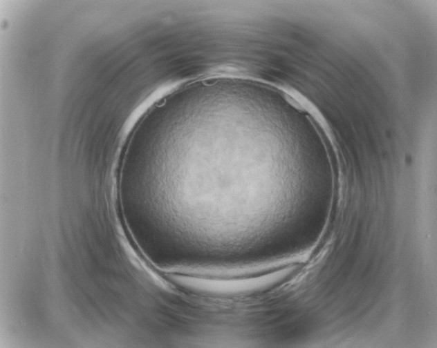 X0000087541341200705112047