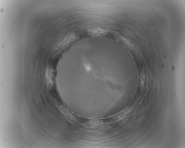 X0000087541346200705112046