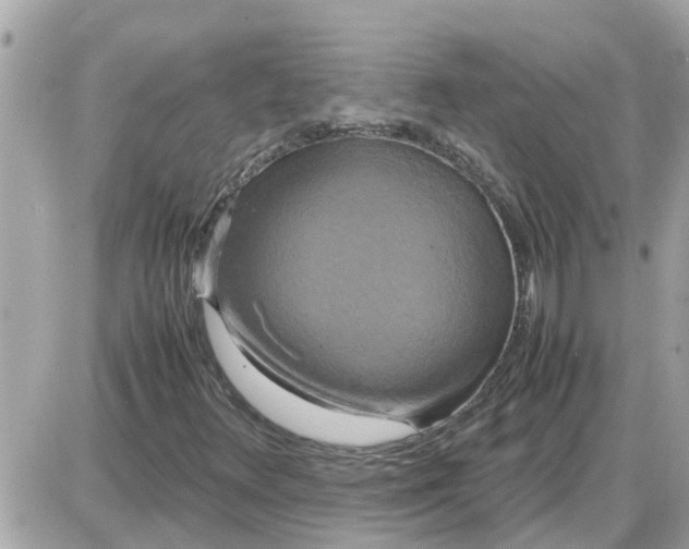 X0000087541348200705112046