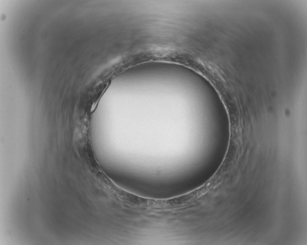 X0000087541349200705112046