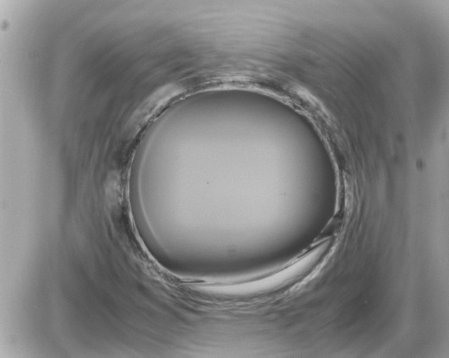 X0000087541353200705112046