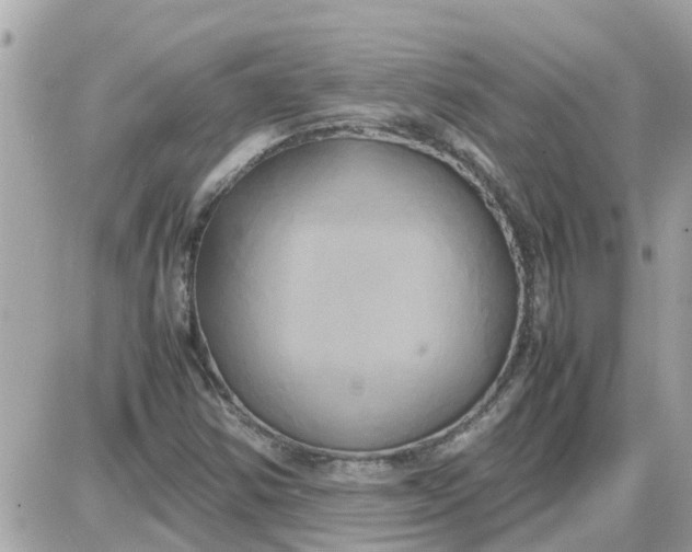 X0000087541354200705112046
