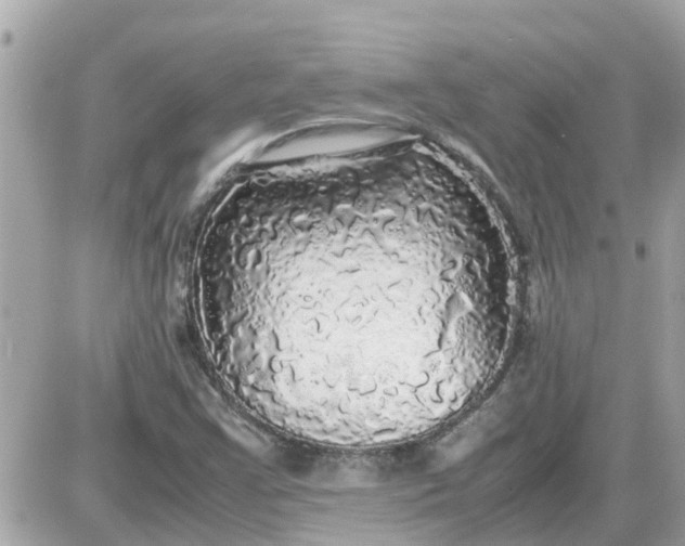 X0000087541355200705112046