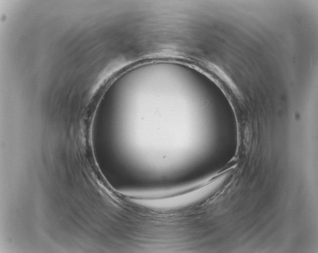 X0000087541356200705112046