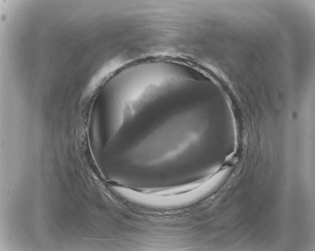 X0000087541359200705112046