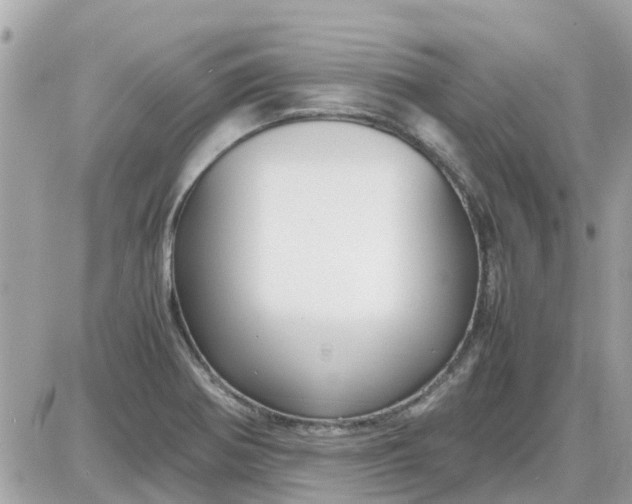 X0000087541370200705112046