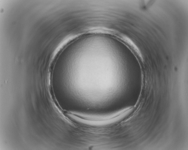 X0000087541376200705112045