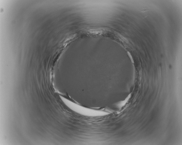 X0000087541394200705112044