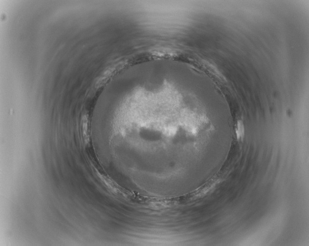 X0000087541396200705112045