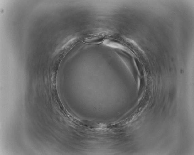 X0000087541399200705112045