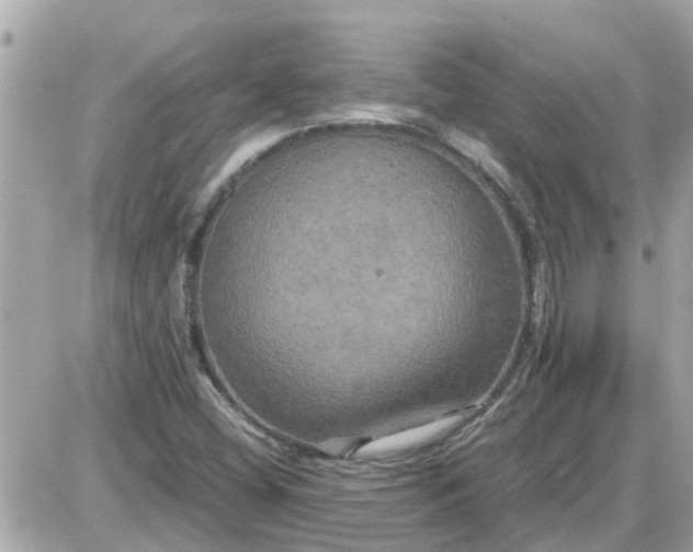X0000087541404200705112045