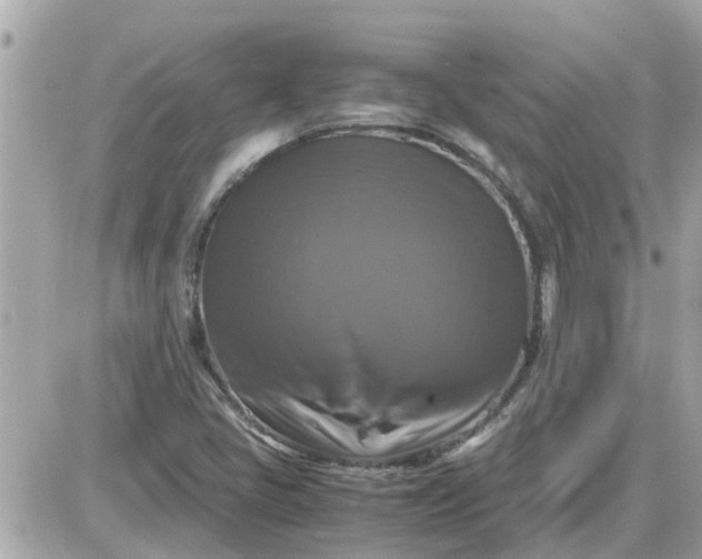 X0000087541405200705112045