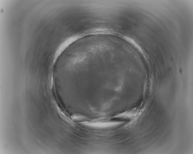 X0000087541413200705112045