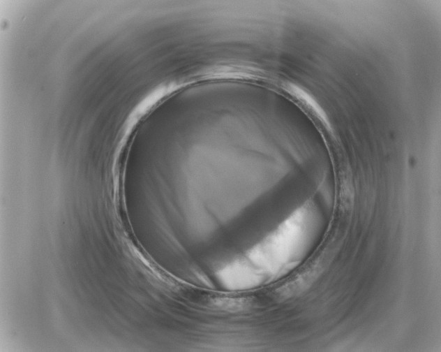 X0000087541419200705112045
