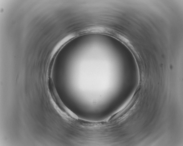 X0000087541426200705112045