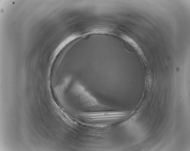 X0000087541427200705112045