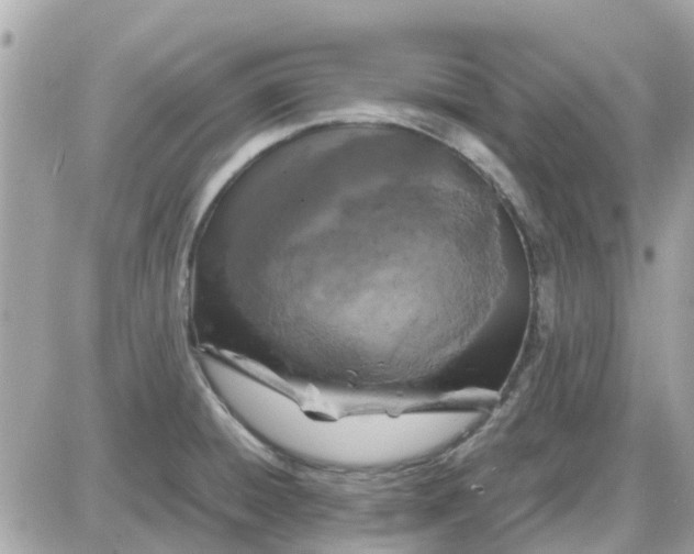 X0000087541428200705112045