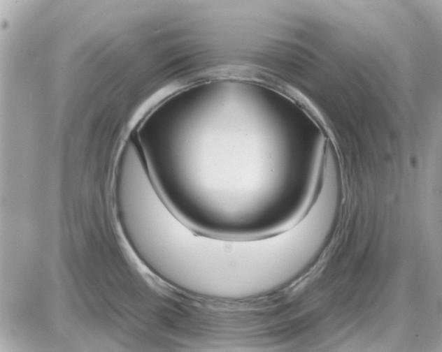 X0000087541434200705112045