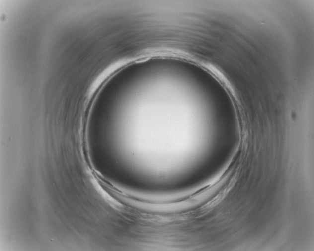 X0000087541438200705112045