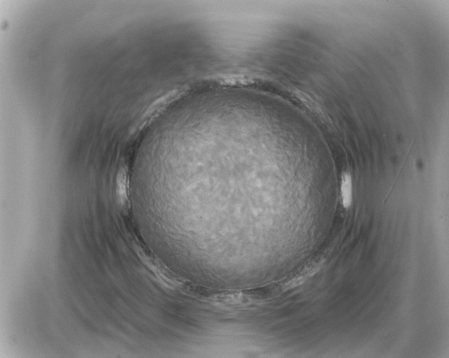 X0000087541444200705112044