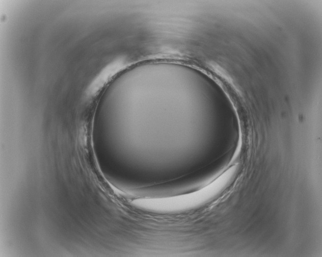 X0000087541455200705112044