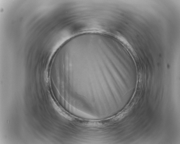 X0000087541466200705112044
