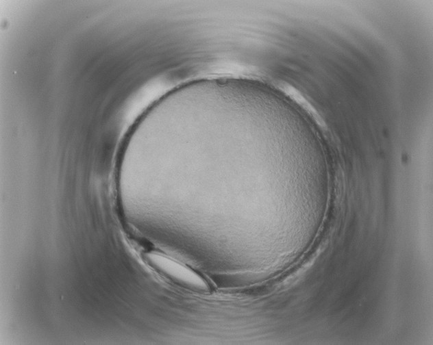 X0000087541469200705112044