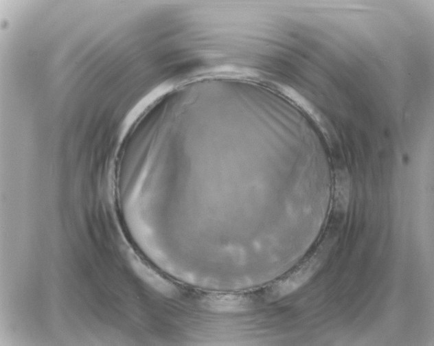 X0000087541474200705112044