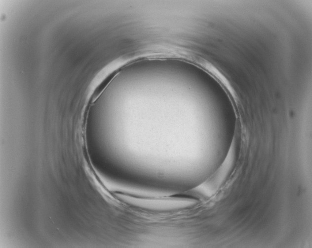 X0000087541485200705112044