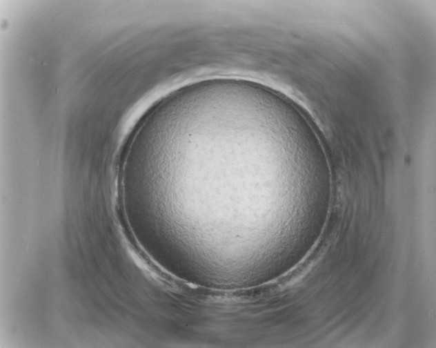 X0000087541511200705112043